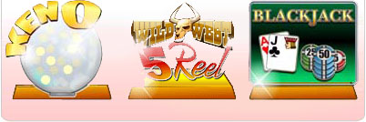 Bingo Online Games